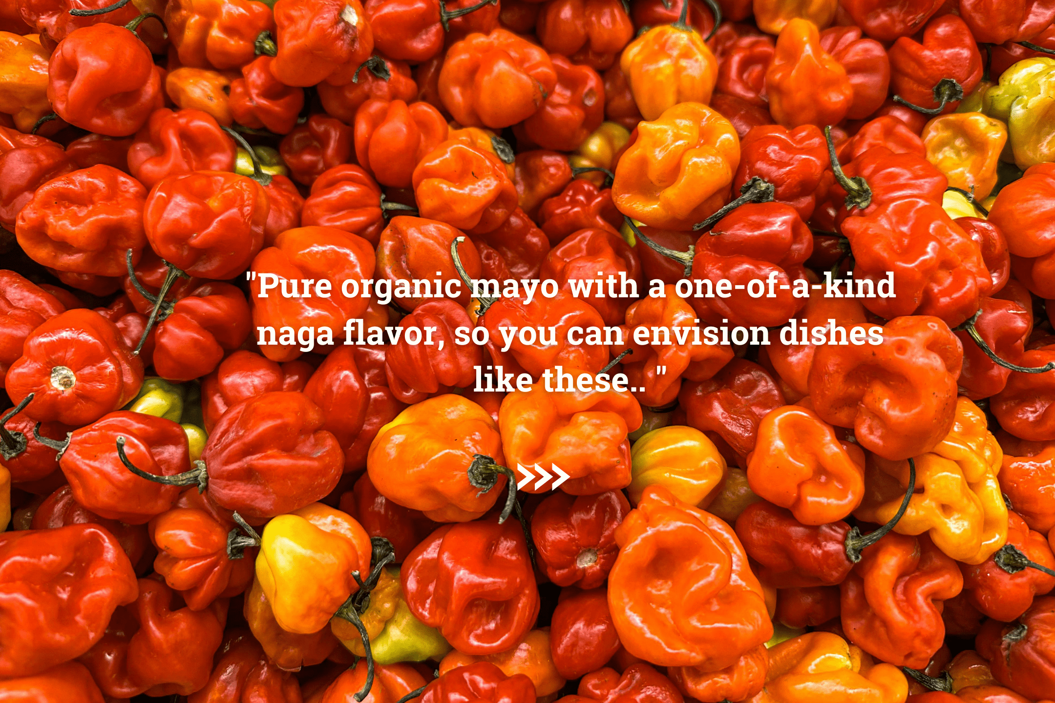 Naga Garlic Mayo - Auntie Rana's