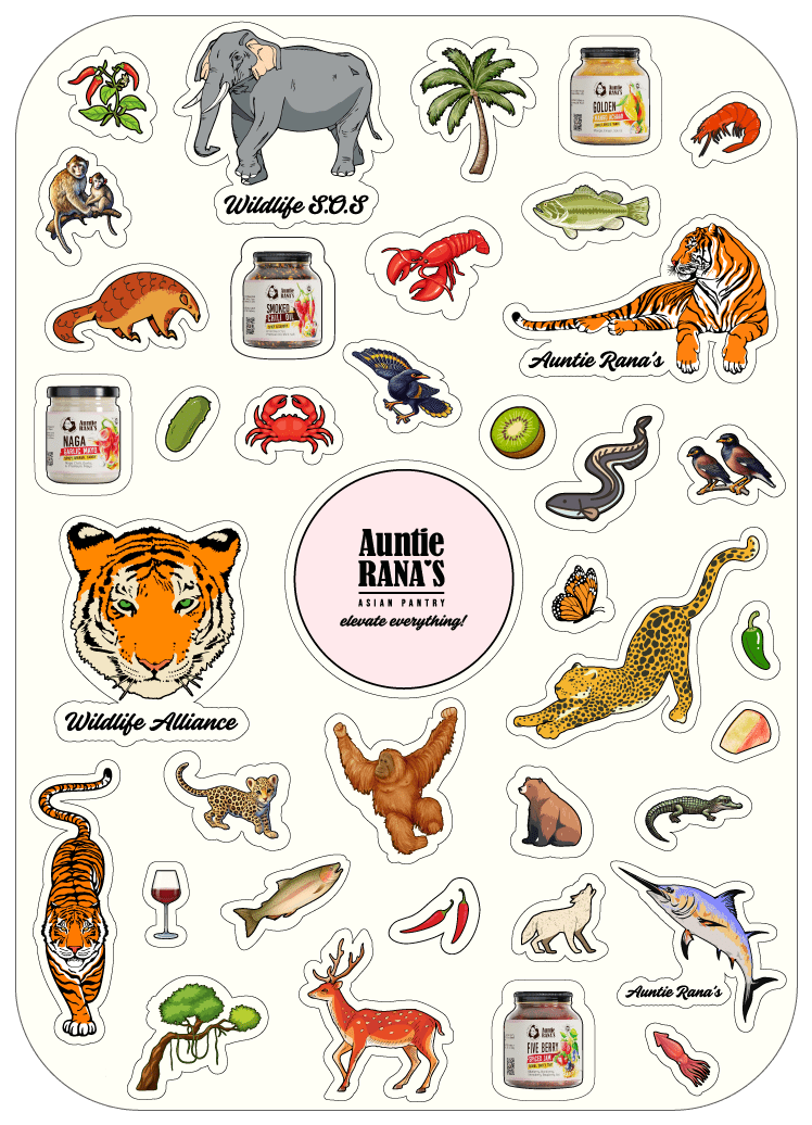 Kickstart Pack - Auntie Rana's